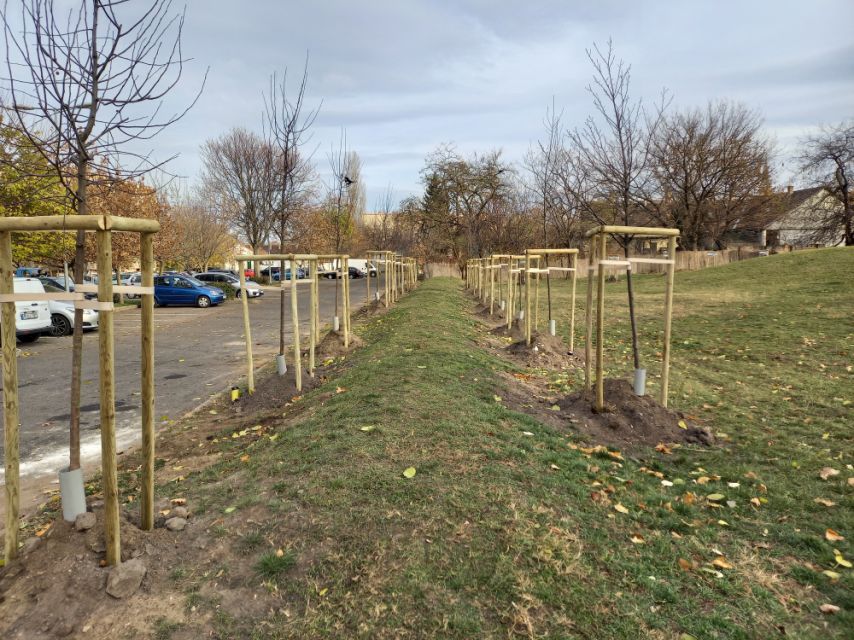 deergarden-fasor-telepites-ujpesten-2