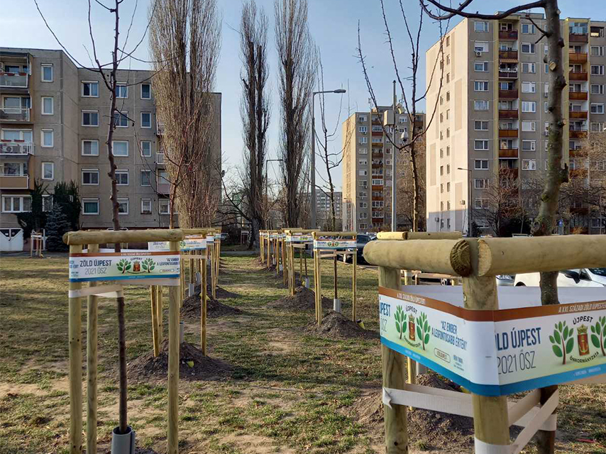 deergarden-fasor-telepites-ujpesten-3