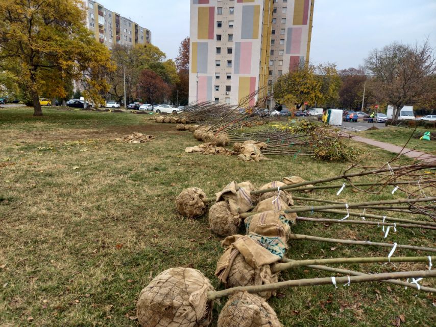 deergarden-fasor-telepites-ujpesten-4