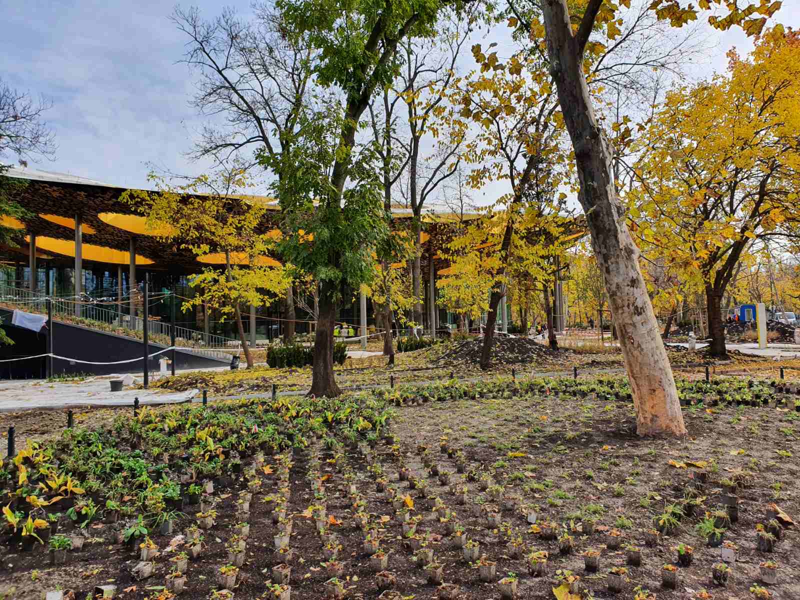 deergarden_varosliget_novenyultetes_1