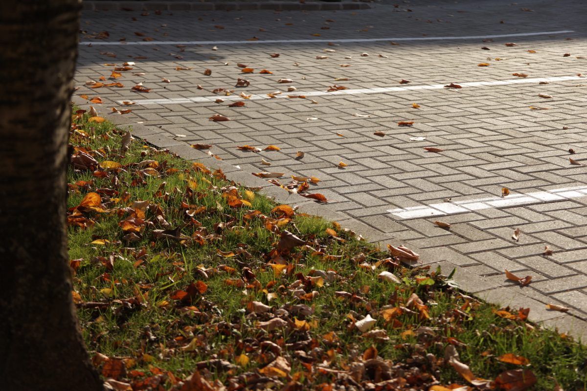 Erzsébetváros köztisztasága