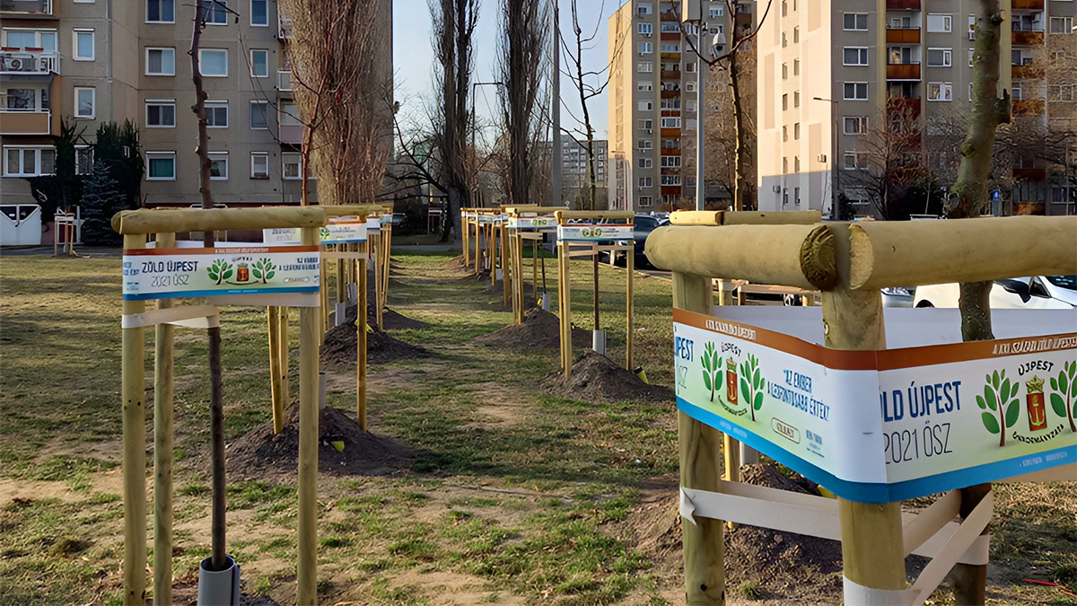 Fasori szenzorok hatékony használata fiatal fák esetén - DeerGarden
