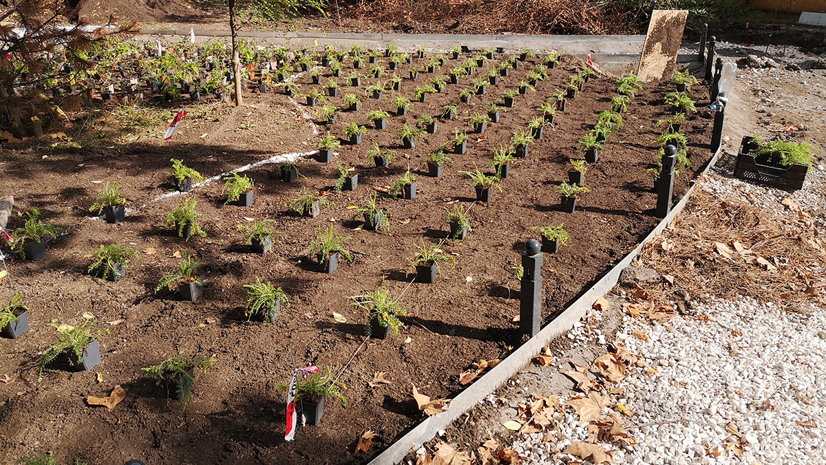 deergarden-varosliget-novenyultetes