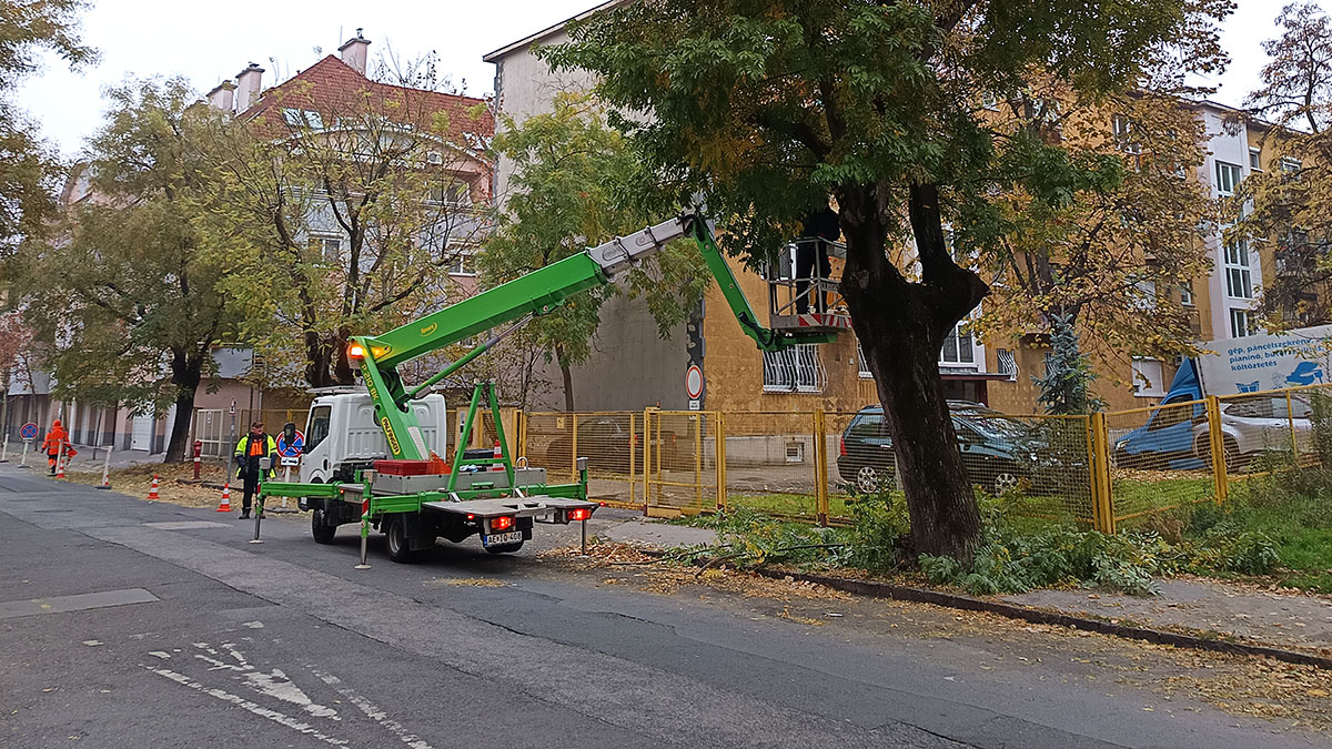 A viharkárok csökkentése a közterületen lévő fák gallyazásával