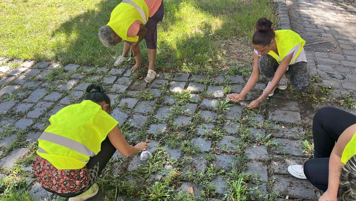 Szilárd burkolatú takarítás, sarabolás, mely során a járdára nőtt növényeket távolítják el – Deer Garden